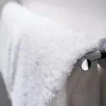 원